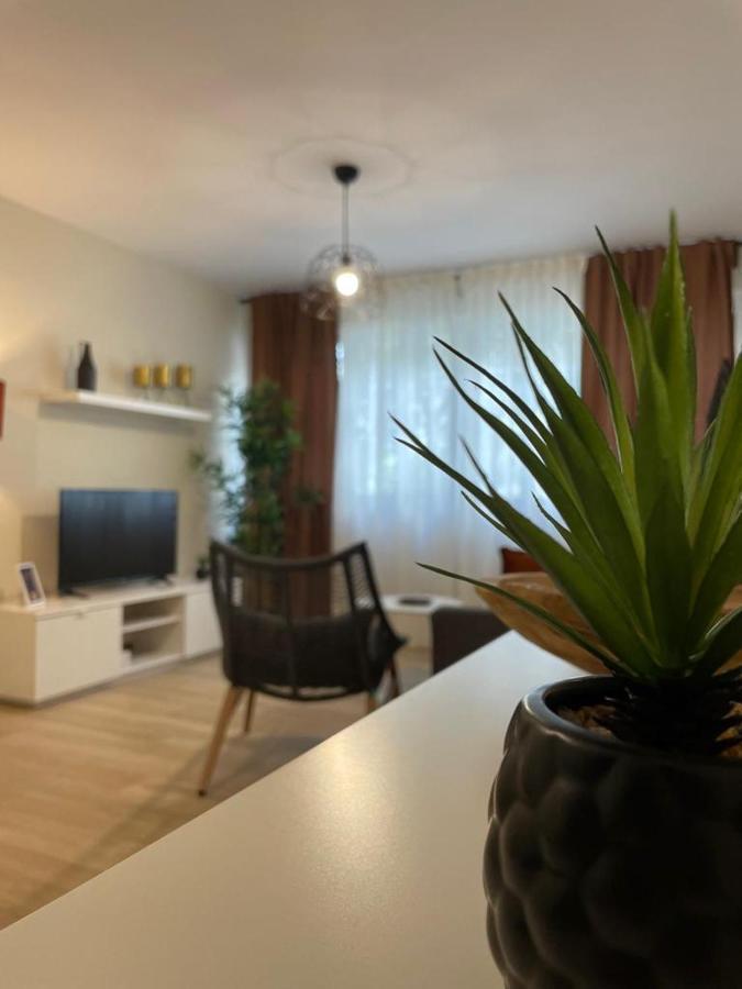 Apartamento Jerez 2022 Jerez de la Frontera Exterior photo